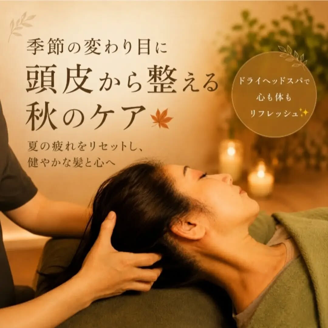 9月に入り、少しずつ涼しさを感じる今日このごろです🍁