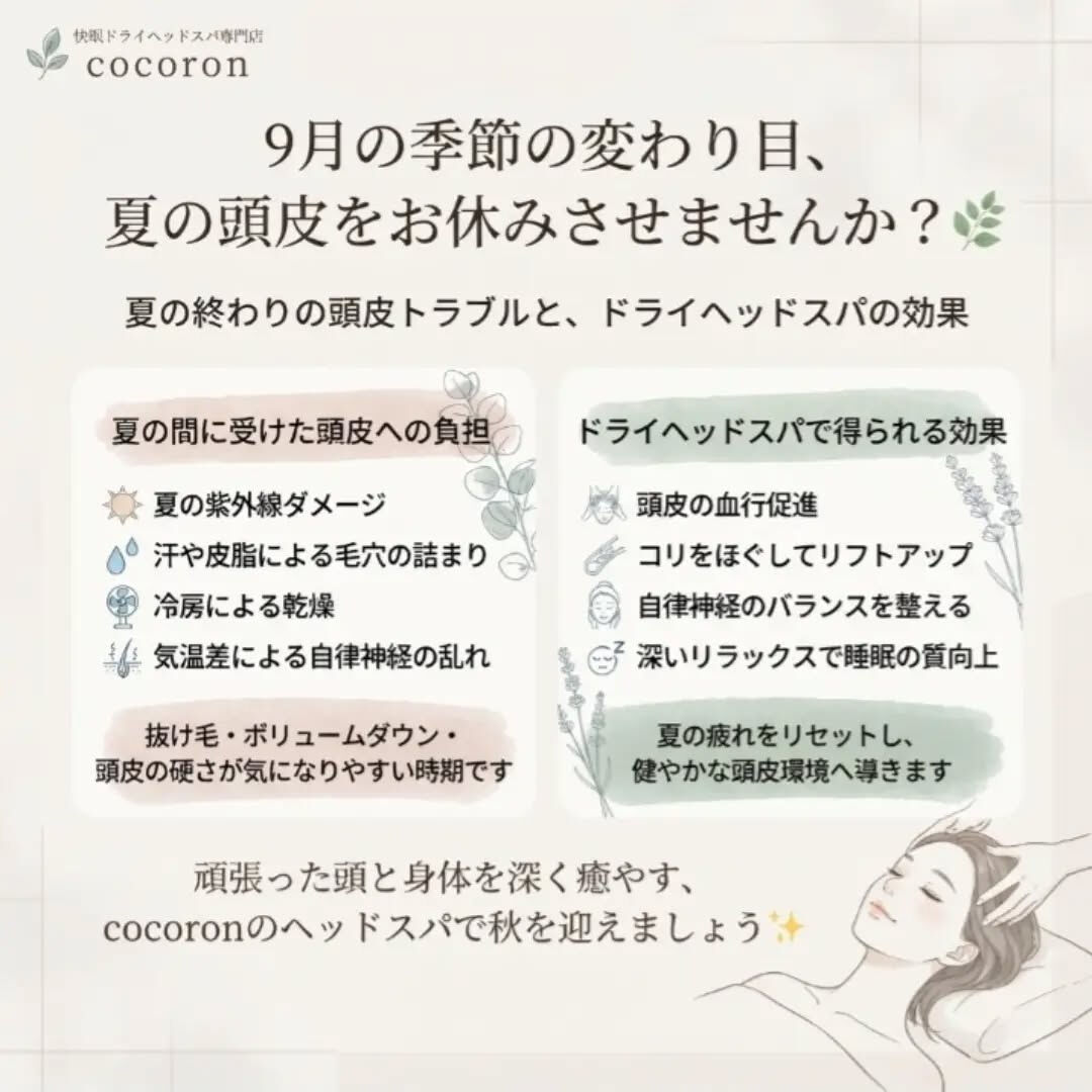 9月に入り、少しずつ涼しさを感じる今日このごろです🍁